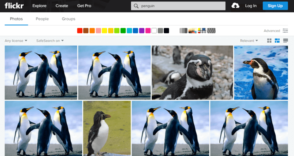  Best Image Search Engine