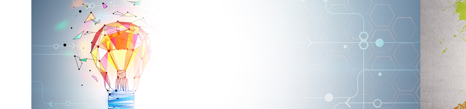 Website Designing Company in Delhi